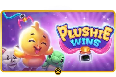 hub4u Live Casino